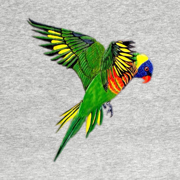 Rainbow Lorikeet by tavartist